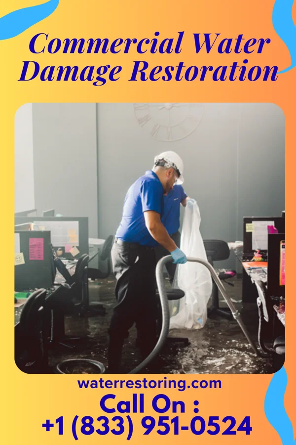 Commercial Water Damage Restoration in Jacinto, MS