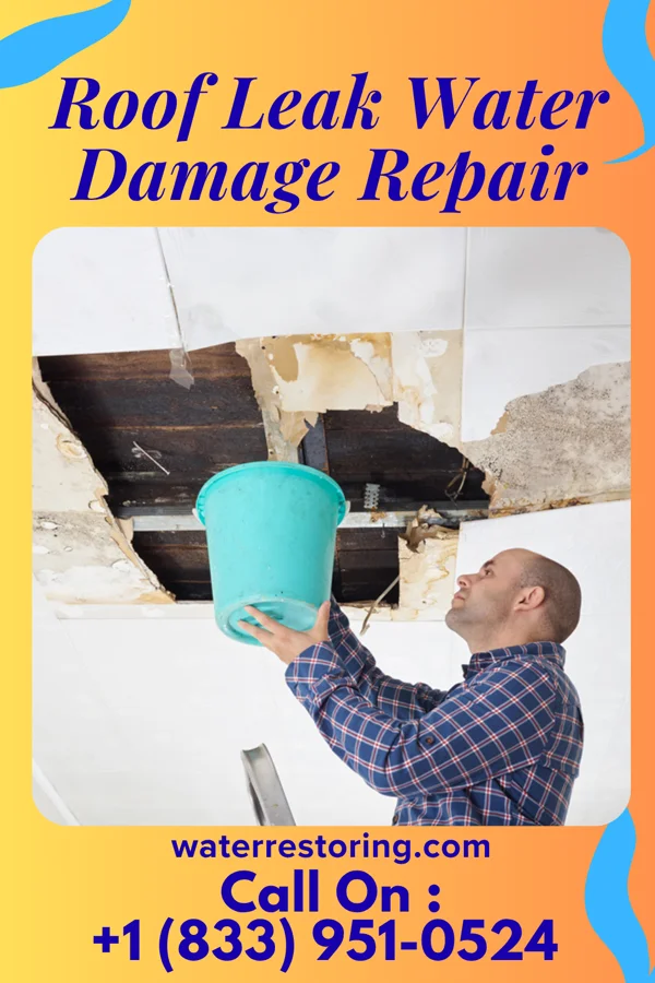 Roof Leak Water Damage Repair in Jacinto, MS