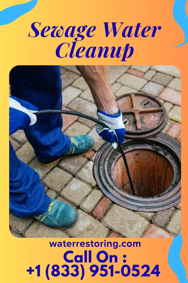 Sewage Water Cleanup in Jacinto, MS
